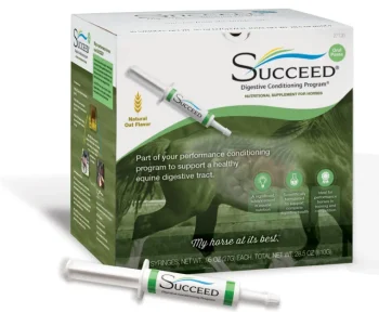 Outlet FREEDOM HEALTH Succeed Syringe Digestive Supplement