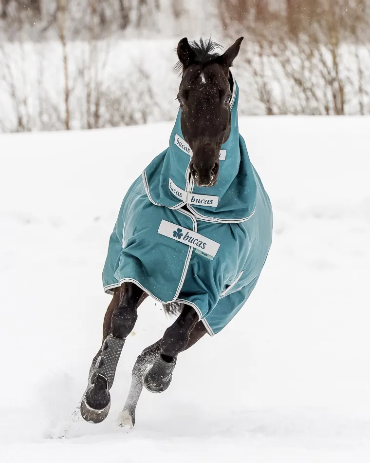 vTJLYmxr_1.webp Fashion TOKLAT ORIGINALS Bucas Atlantic 50 Gram Turnout Blanket Spruce