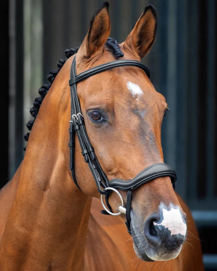 velociti-lusso-ergonomic-flash-TnyIfDFG-0.webp Sale SHIRES EQUESTRIAN Velociti Lusso Ergonomic Flash Bridle