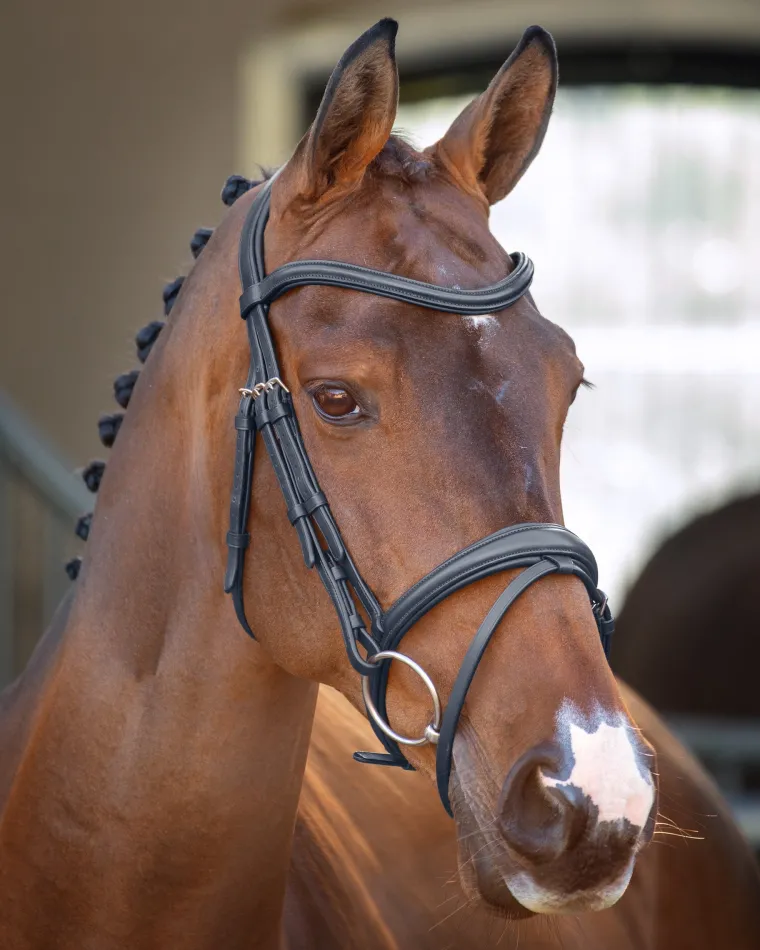 velociti-lusso-padded-raised-f-ZLeBDBZf-0.webp Outlet SHIRES EQUESTRIAN Velociti Lusso Padded Raised Flash Bridle