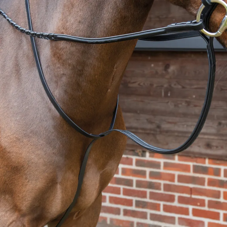 velociti-lusso-standing-martin-lBFJDPhd-0.webp New SHIRES EQUESTRIAN Velociti Lusso Standing Martingale