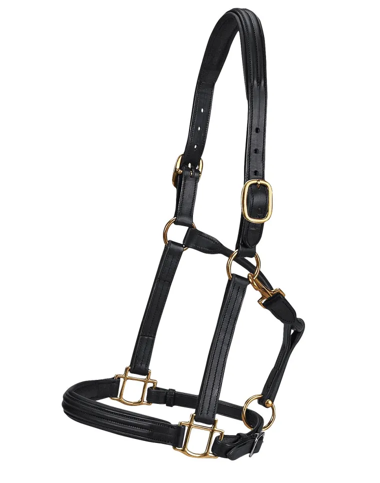 vespucci-double-raised-halter-EzVjdCSe-0.webp Hot WORLD EQUSTRN BRNDS Vespucci Double Raised Halter Black
