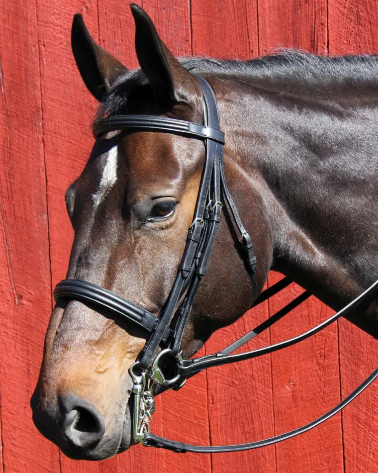 vespucci-dressage-double-raise-ePvdfEjT-0.webp New WORLD EQUSTRN BRNDS Vespucci Dressage Double Raised Weymouth Bridle Black