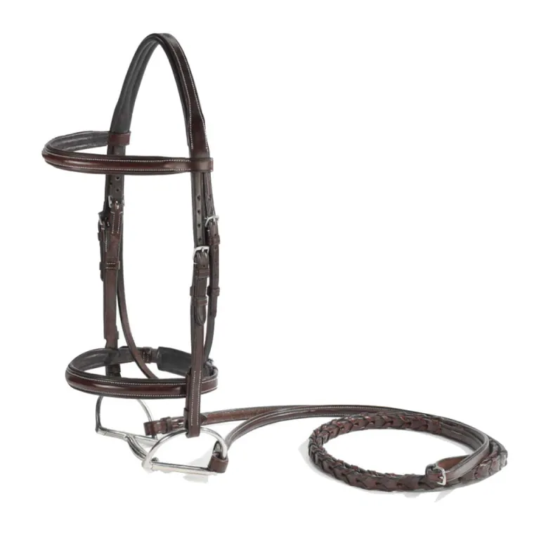 vespucci-plain-raised-hunter-b-aoLEoTJQ-0.webp Outlet WORLD EQUSTRN BRNDS Vespucci Plain Raised Hunter Bridle Brown