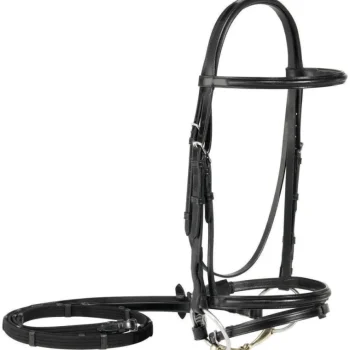Clearance WORLD EQUSTRN BRNDS Vespucci Plain Raised Dressage Bridle With Flash Black