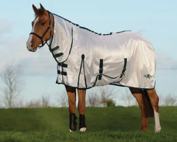 Sale WEATHERBEETA Saxon Mesh Fly Sheet with Combo Neck & Belly Wrap White/Hunter