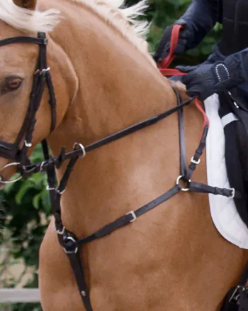 Best WALDHAUSEN Secutrust Breastplate With Safety Reins