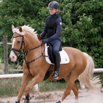 Best WALDHAUSEN Secutrust Breastplate With Safety Reins