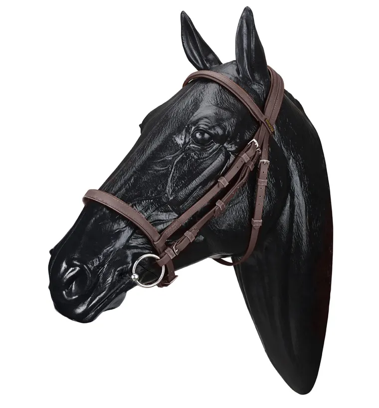 wintec-bridle-nfYEOTLp-0.webp Discount SADDLERY BRANDS INTL Wintec Bridle
