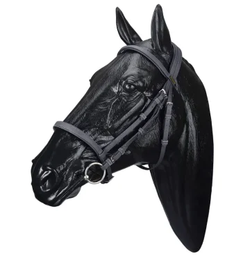 Discount SADDLERY BRANDS INTL Wintec Bridle