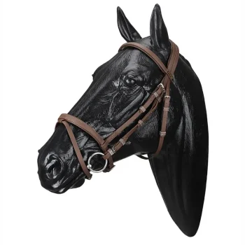 Discount SADDLERY BRANDS INTL Wintec Bridle With Flash