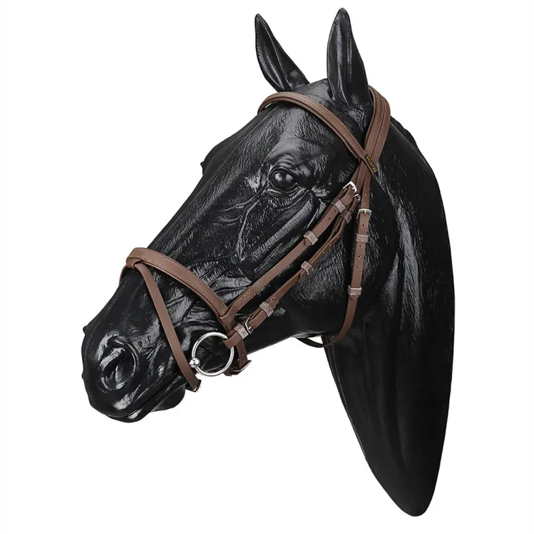 wintec-bridle-with-flash-bqWenkiO-0.webp Discount SADDLERY BRANDS INTL Wintec Bridle With Flash