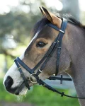 wintec-bridle-with-flash-bqWenkiO-0.webp