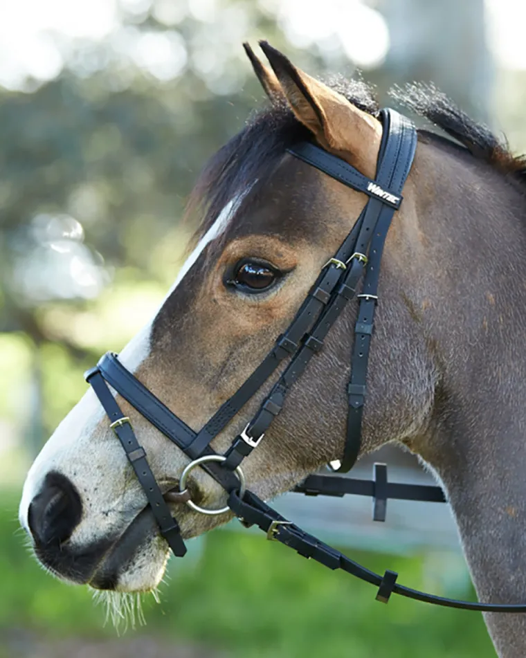 wintec-bridle-with-flash-bqWenkiO-1.webp Discount SADDLERY BRANDS INTL Wintec Bridle With Flash