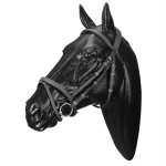 wintec-bridle-with-flash-bqWenkiO-0.webp