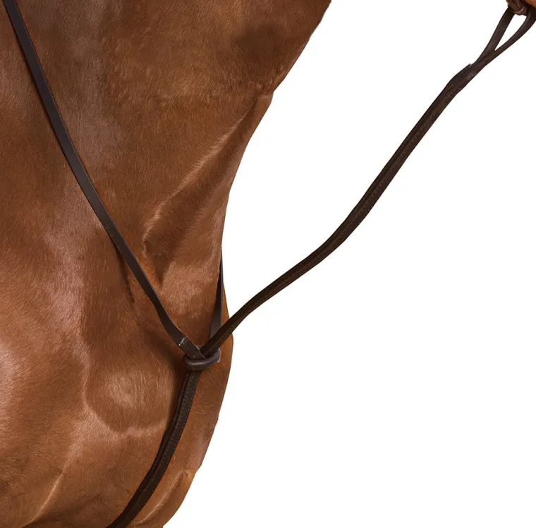 wintec-standing-martingale-wMNLtQUM-1.webp New SADDLERY BRANDS INTL Wintec Standing Martingale