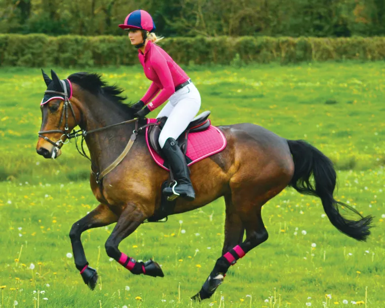 woof-wear-all-purpose-boots-pQClqJLu-27.webp Sale TOKLAT ORIGINALS Woof Wear All-Purpose Boots