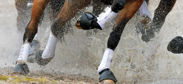 woof-wear-all-purpose-boots-pQClqJLu-4.webp Sale TOKLAT ORIGINALS Woof Wear All-Purpose Boots