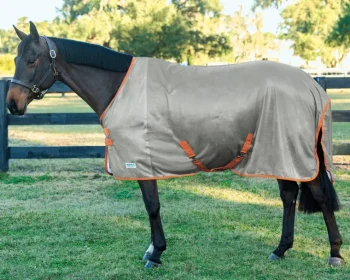 Fashion INTEX EQUESTRIAN Rider’s International™ Fly Sheet