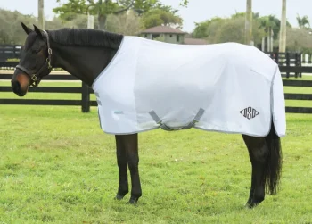 Fashion INTEX EQUESTRIAN Rider’s International™ Fly Sheet