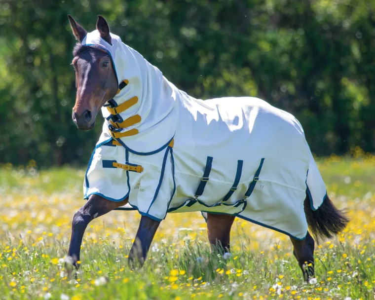 xPkJQZmf_0.webp Clearance SHIRES EQUESTRIAN Shires Sweet-Itch Combo White/Navy/Mustard