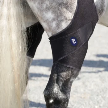Best MACKINNON Ice Horse® Stifle Wraps