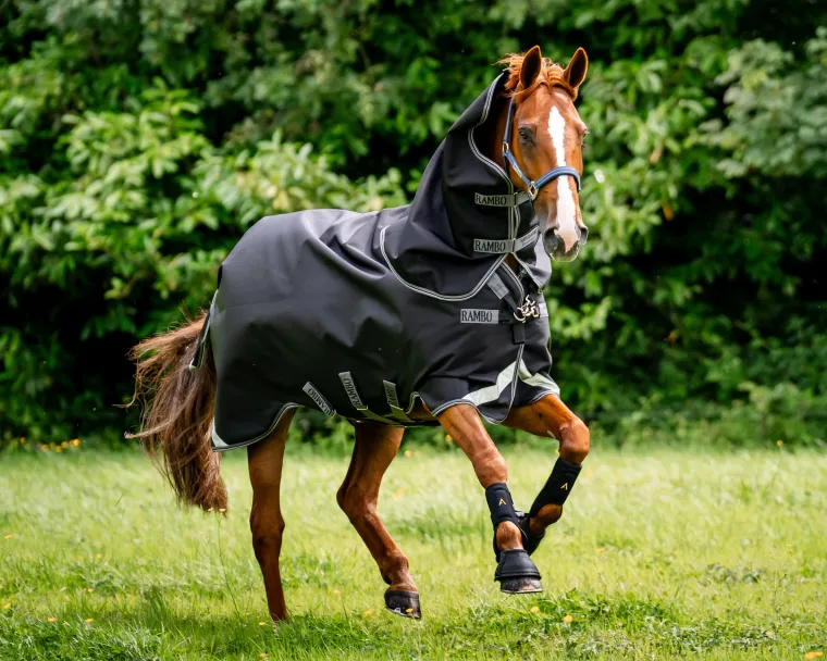 xYelUfco_1.webp Best HORSEWARE ® Ireland Rambo® 1680D Vari-Layer Plus Heavy Turnout–450g