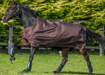 Fashion HORSEWARE ® Amigo® Hero 900 Lite Net Lined Turnout with Disc Front