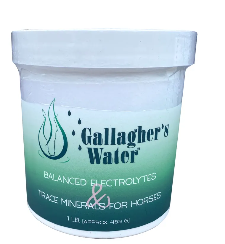 xZTnhwIb_0.webp Fashion EQUESTRIBEV Gallagher’s Water™ Balanced Electrolytes & Trace Minerals