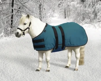 Sale KENSINGTON ™ Signature Mini Medium-Weight Turnout Blanket
