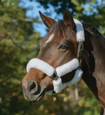 New SHIRES EQUESTRIAN Shires SupaFleece Halter Fleeces - 9 piece set White