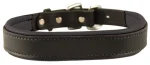 New PERRIS LEATHER Perri’s® Padded Leather Nameplate Dog Collar