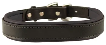 New PERRIS LEATHER Perri’s® Padded Leather Nameplate Dog Collar