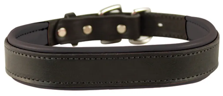 xlbLYJBN_0.webp New PERRIS LEATHER Perri’s® Padded Leather Nameplate Dog Collar