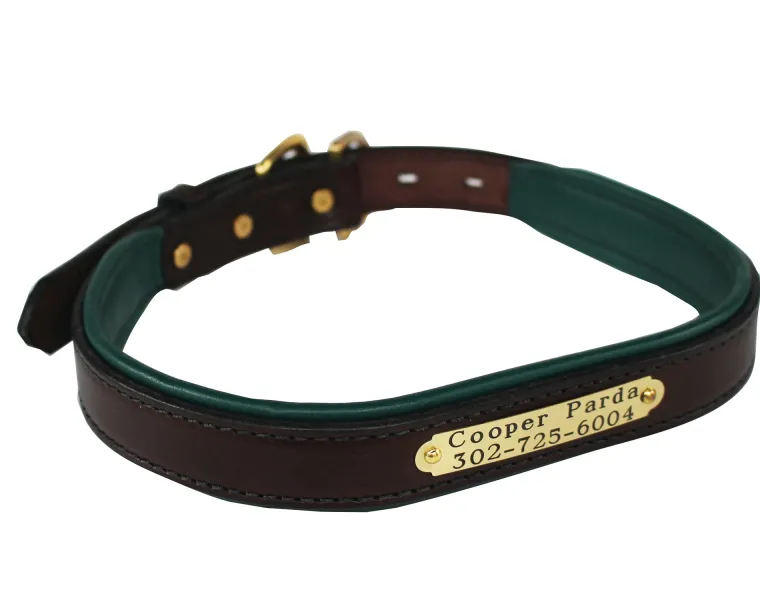 xlbLYJBN_1.webp New PERRIS LEATHER Perri’s® Padded Leather Nameplate Dog Collar