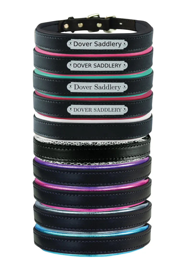 xlbLYJBN_11.webp New PERRIS LEATHER Perri’s® Padded Leather Nameplate Dog Collar