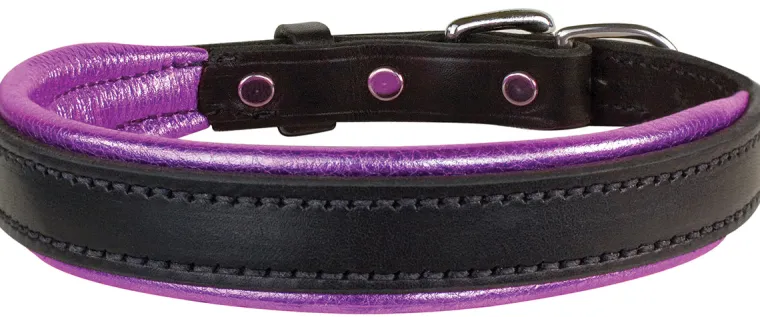 xlbLYJBN_15.webp New PERRIS LEATHER Perri’s® Padded Leather Nameplate Dog Collar