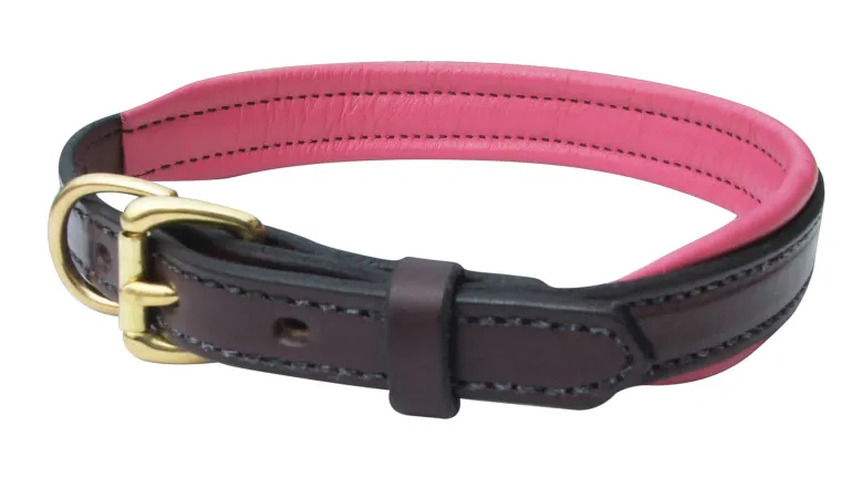 xlbLYJBN_18.webp New PERRIS LEATHER Perri’s® Padded Leather Nameplate Dog Collar