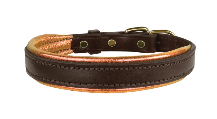 xlbLYJBN_19.webp New PERRIS LEATHER Perri’s® Padded Leather Nameplate Dog Collar
