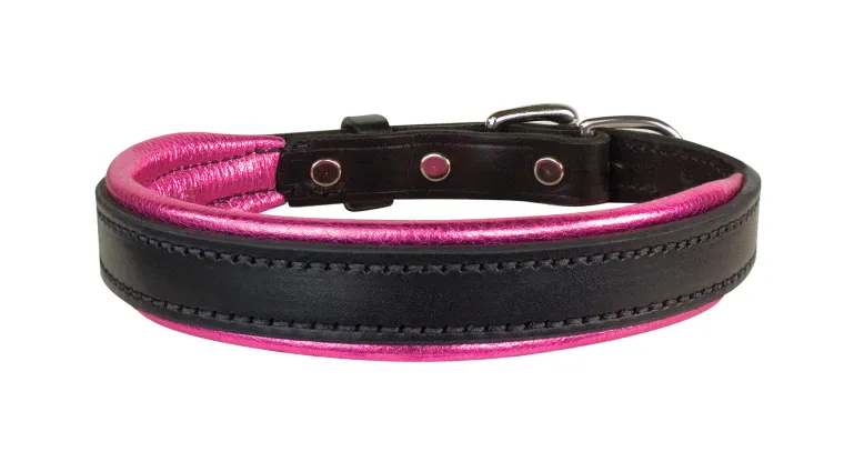 xlbLYJBN_4.webp New PERRIS LEATHER Perri’s® Padded Leather Nameplate Dog Collar