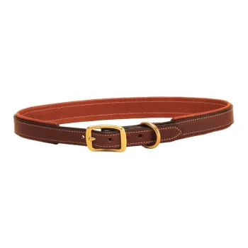 New TORY LEATHER Padded Dog Collar Havana/Oakbark