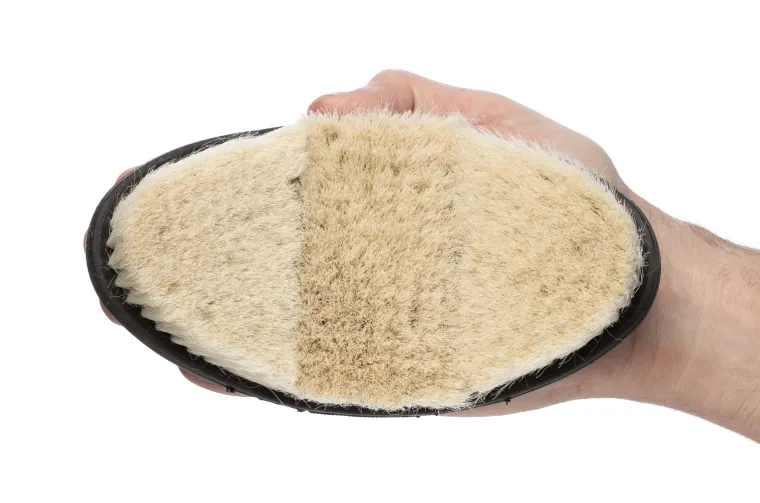 xuFkoisQ_4.webp New HORSE HEALTH TRADE LeMieux® Flexi Goat Hair Body Brush