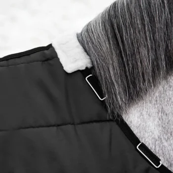 Fashion EQUINAVIA Horze Nevada Medium-Weight Stable Blanket Black