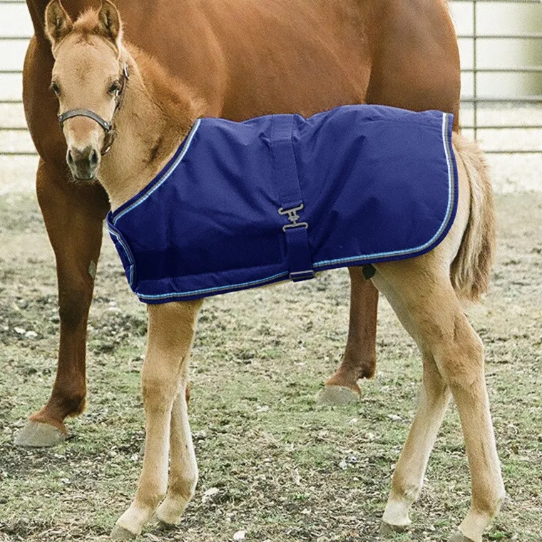 yKuKMqES_0.webp New KENSINGTON ™ Signature Adjustable Small Foal Turnout Blanket