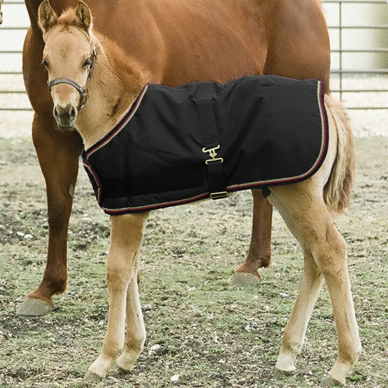 yKuKMqES_1.webp New KENSINGTON ™ Signature Adjustable Small Foal Turnout Blanket