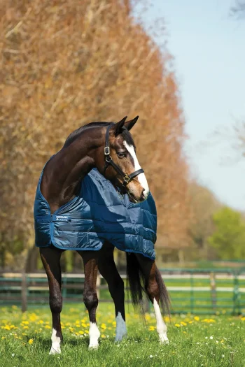 Best HORSEWARE ® Ireland 100 Gram Blanket Liner Navy/Navy