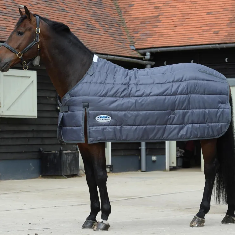 zLnuaXvc_0.webp Outlet WEATHERBEETA ® ComFiTec™ Medium/Lite Blanket Liner Grey