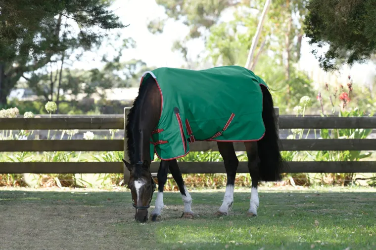 zbxThYmB_0.webp Best WEATHERBEETA ® ComFiTec™ Prelim Standard Neck Medium-Weight Turnout Blanket Dark Green/Red/White
