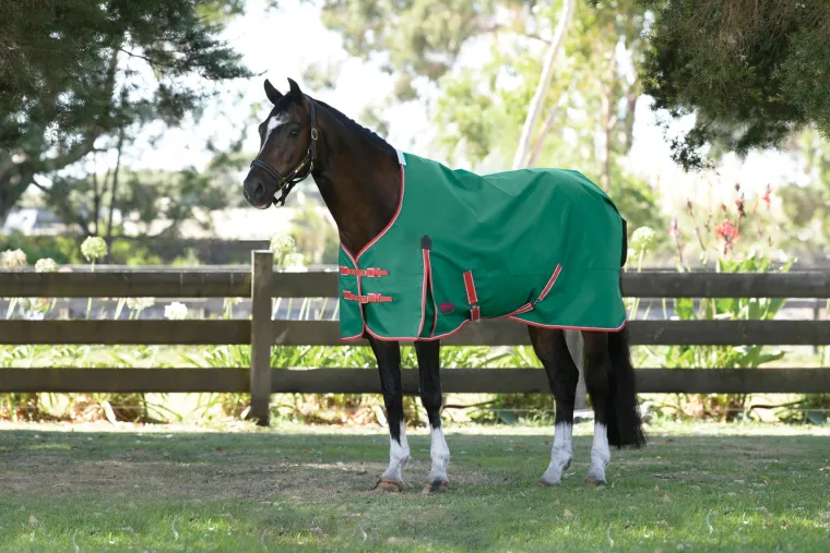 zbxThYmB_5.webp Best WEATHERBEETA ® ComFiTec™ Prelim Standard Neck Medium-Weight Turnout Blanket Dark Green/Red/White