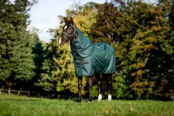 Best HORSEWARE ® Ireland Amigo® Ripstop 900D Plus Pony Turnout Sheet